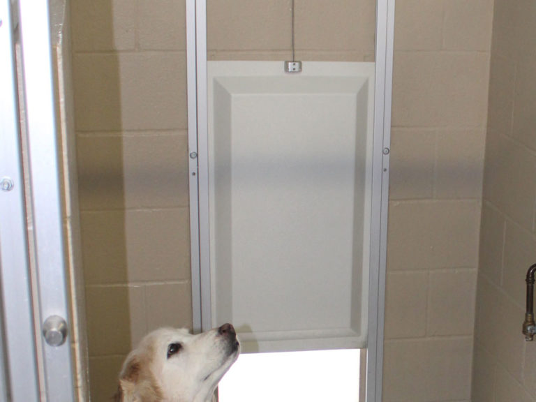 Insulated Dog Doors Stone Mountain Pet Products