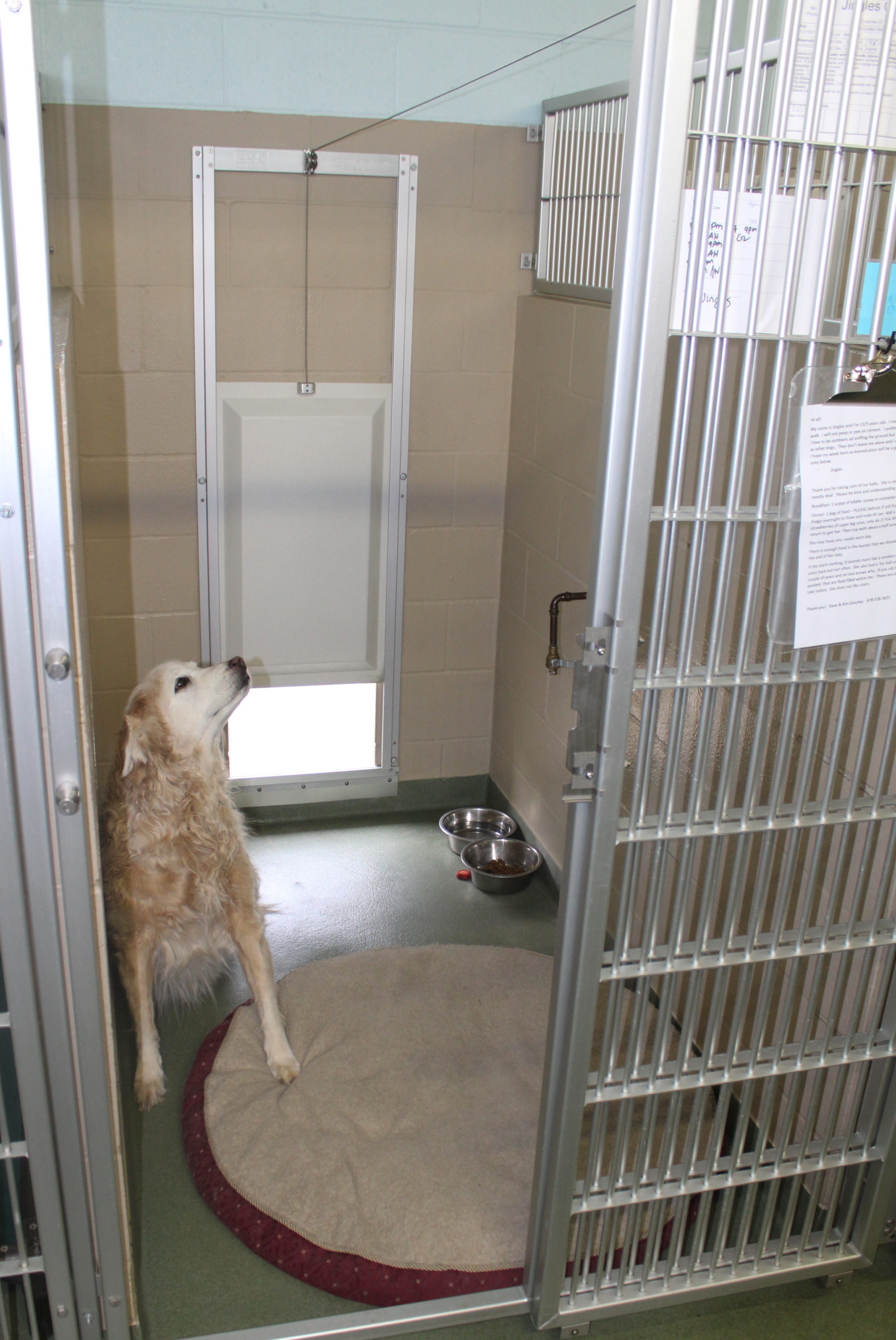 Insulated Dog Doors Stone Mountain Pet Products