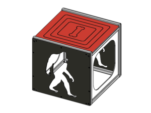 Big Foot Cube